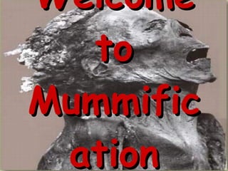 Welcome to Mummification 