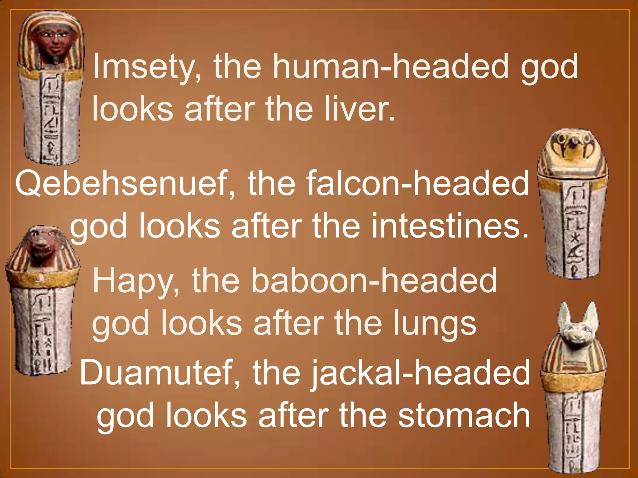Imsety, the human-headed god
looks after the liver.
Hapy, the baboon-headed
god looks after the lungs
Duamutef, the jackal-headed
god looks after the stomach
Qebehsenuef, the falcon-headed
god looks after the intestines.
 