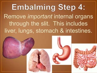 Remove important internal organs
through the slit. This includes
liver, lungs, stomach & intestines.
 
