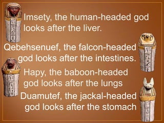 Imsety, the human-headed god
looks after the liver.
Hapy, the baboon-headed
god looks after the lungs
Duamutef, the jackal-headed
god looks after the stomach
Qebehsenuef, the falcon-headed
god looks after the intestines.
 