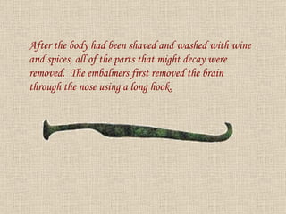 After the body had been shaved and washed with wine and spices, all of the parts that might decay were removed.  The embalmers first removed the brain through the nose using a long hook. 