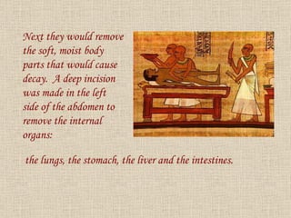 Next they would remove the soft, moist body parts that would cause decay.  A deep incision was made in the left side of the abdomen to remove the internal organs: the lungs, the stomach, the liver and the intestines. 