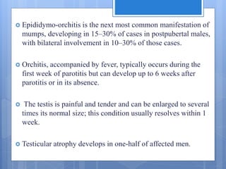  Epididymo-orchitis is the next most common manifestation of
mumps, developing in 15–30% of cases in postpubertal males,
with bilateral involvement in 10–30% of those cases.
 Orchitis, accompanied by fever, typically occurs during the
first week of parotitis but can develop up to 6 weeks after
parotitis or in its absence.
 The testis is painful and tender and can be enlarged to several
times its normal size; this condition usually resolves within 1
week.
 Testicular atrophy develops in one-half of affected men.
 