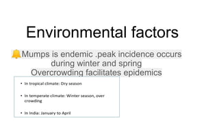Environmental factors
🔔Mumps is endemic .peak incidence occurs
during winter and spring
Overcrowding facilitates epidemics
 