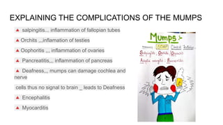 EXPLAINING THE COMPLICATIONS OF THE MUMPS
🔺 salpingitis... inflammation of fallopian tubes
🔺Orchits ,,,inflamation of testies
🔺Oophoritis ,,, inflammation of ovaries
🔺 Pancreatitis,,, inflammation of pancreas
🔺 Deafness,,, mumps can damage cochlea and
nerve
cells thus no signal to brain _ leads to Deafness
🔺 Encephalitis
🔺 Myocarditis
 
