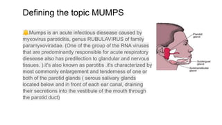 Defining the topic MUMPS
🔔Mumps is an acute infectious diesease caused by
myxovirus parotiditis, genus RUBULAVIRUS of family
paramyxoviradae. (One of the group of the RNA viruses
that are predominantly responsible for acute respiratory
diesease also has predilection to glandular and nervous
tissues. ).it's also known as parotitis .it's characterized by
most commonly enlargement and tenderness of one or
both of the parotid glands ( serous salivary glands
located below and in front of each ear canal, draining
their secretions into the vestibule of the mouth through
the parotid duct)
 