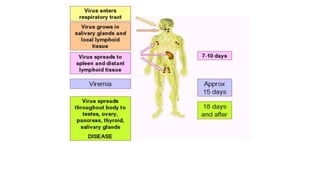 mumps.pptx