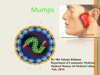 Mumps

Dr. Md. Salequr Rahman
Department of Community Medicine
Shaheed Monsur Ali Medical College
Feb. 2014

 