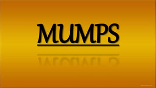 MUMPS
 