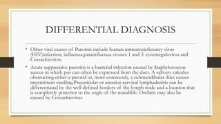 DIFFERENTIAL DIAGNOSIS
• Other viral causes of Parotitis include human immunodeficiency virus
(HIV)infection, influenza,parainfluenza viruses 1 and 3: cytomegalovirus and
Coxsackievirus.
• Acute suppurative parotitis is a bacterial infection caused by Staphylococcus
aureus in which pus can often be expressed from the duct. A salivary calculus
obstructing either a parotid or, more commonly, a submandibular duct causes
intermittent swelling.Preauricular or anterior cervical lymphadenitis can be
differentiated by the well-defined borders of the lymph node and a location that
is completely posterior to the angle of the mandible. Orchitis may also be
caused by Coxsackievirus.
 