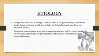 ETIOLOGY
• Mumps virus, the cause of mumps, is an RNA virus of the genus Paramyxovirus in the
family Paramyxoviridae which also includes the Parainfluenza viruses. Only one
serotype is known.
• The mumps virus causes an acute infectious process characterized by enlargement of the
salivary glands, particularly the parotid glands, and occasional inflammation of other
organs and systems.
 
