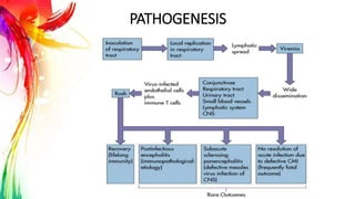 PATHOGENESIS
 