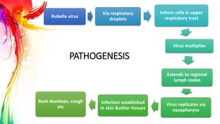 PATHOGENESIS
Rubella virus
Via respiratory
droplets
Infects cells in upper
respiratory tract
Virus multiplies
Extends to regional
lymph nodes
Virus replicates via
nasopharynx
Infection established
in skin &other tissues
Rash develops, cough
etc
 
