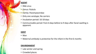AGENT
• RNA virus
• Genus: Rubula
• Family: Paramyxoviridae
• Only one serotype; No carriers
• Incubation period: 16-18 days
• Communicable period: from 6 days before to 9 days after facial swelling is
apparent.
HOST
• Man
• Maternal antibody is protective for the infant in the first 6 months
ENVIRONMENT
• Late winter and spring
• Crowded places
 