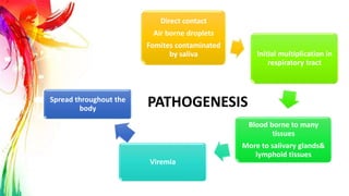 Direct contact
Air borne droplets
Fomites contaminated
by saliva Initial multiplication in
respiratory tract
Blood borne to many
tissues
More to salivary glands&
lymphoid tissues
Viremia
Spread throughout the
body
PATHOGENESIS
 