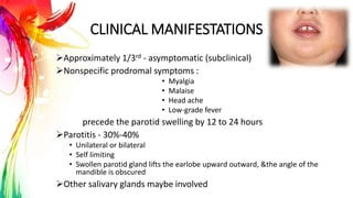 CLINICAL MANIFESTATIONS
Approximately 1/3rd - asymptomatic (subclinical)
Nonspecific prodromal symptoms :
• Myalgia
• Malaise
• Head ache
• Low-grade fever
precede the parotid swelling by 12 to 24 hours
Parotitis - 30%-40%
• Unilateral or bilateral
• Self limiting
• Swollen parotid gland lifts the earlobe upward outward, &the angle of the
mandible is obscured
Other salivary glands maybe involved
 