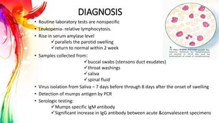 • Routine laboratory tests are nonspecific
• Leukopenia- relative lymphocytosis.
• Rise in serum amylase level
parallels the parotid swelling
return to normal within 2 week
• Samples collected from:
buccal swabs (stensons duct exudates)
throat washings
saliva
spinal fluid
• Virus isolation from Saliva – 7 days before through 8 days after the onset of swelling
• Detection of mumps antigen by PCR
• Serologic testing:
Mumps specific IgM antibody
Significant increase in IgG antibody between acute &convalescent specimens
DIAGNOSIS
 