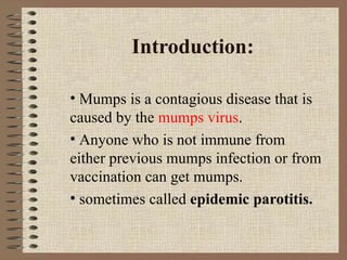 Introduction: Mumps is a contagious disease that is caused by the  mumps virus .  Anyone who is not immune from either previous mumps infection or from vaccination can get mumps. sometimes called  epidemic parotitis. 