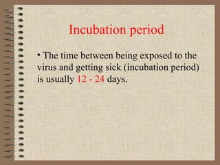Incubation period The time between being exposed to the virus and getting sick (incubation period) is usually  12 - 24  days. 