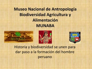 Museo Nacional de Antropología Biodiversidad Agricultura y Alimentación MUNABA  Historia y biodiversidad se unen para dar paso a la formación del hombre peruano 
