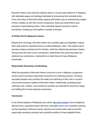 Munchkin Madness_ The Irresistible Appeal of Munchkin Kittens in