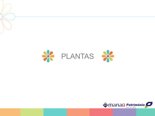 PLANTAS
 