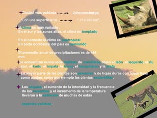 *Ciudad más poblada Johannesburgo *Con una  superficie  de  1.219.080 km²,   el  clima  es muy variable  .  En el sur y las zonas altas, el clima es  templado ,  En el noroeste el clima es  subtropical   En parte occidental del país es  semiárido .  El promedio anual de precipitaciones es de 464 mm. se encuentran numerosos  hábitats  de  mamíferos  como el  león , el  leopardo , el  ñu  azul , el  kudu , el  impala , la  hiena , el  hipopótamo  y la  jirafa .   La mayor parte de las plantas son  perennes  y de hojas duras con hojas finas como agujas, como por ejemplo las plantas  esclerófilas .  Las  sequías , el aumento de la intensidad y la frecuencia de los  incendios  y el incremento de la temperatura llevarán a la  extinción  de muchas de estas  especies exóticas .   