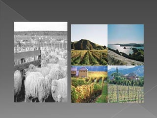 Mundial sub 20 grupo b