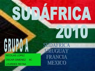 SUDÁFRICA 2010 GRUPO A SUDAFRICA URUGUAY FRANCIA MEXICO NICOLAS LOPEZ OSCAR GIMENEZ  6C LOURDES REYNA  