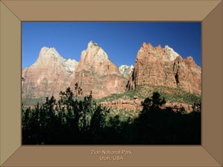 Zion National Park Utah, USA 
