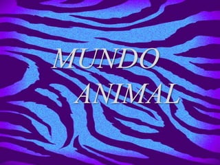 MUNDO
ANIMAL
 