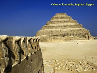 Cobra et Pyramide, Saqqara, Égypte 