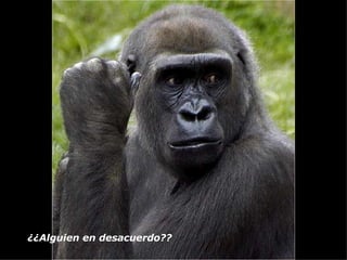 ¿¿Alguien en desacuerdo??   