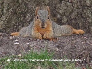 Ay... ¿no estoy demasiado despatarrada para la foto...?   