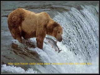 Hay que hacer cada cosa para conseguir el pan de cada día...   