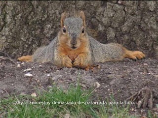 Ay... ¿no estoy demasiado despatarrada para la foto...?   