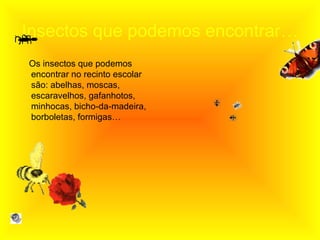 Insectos que podemos encontrar… Os insectos que podemos encontrar no recinto escolar são: abelhas, moscas, escaravelhos, gafanhotos, minhocas, bicho-da-madeira, borboletas, formigas… 