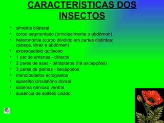 CARACTERÍSTICAS DOS INSECTOS simetria bilateral  corpo segmentado (principalmente o abdómen)  heteronomia (corpo dividido em partes distintas: cabeça, tórax e abdómen)  exoesqueleto quitinoso  1 par de antenas - díceros  2 pares de asas - tetrápteros (há excepções)  3 pares de pernas - hexápodos  mandibulados ectognatos  aparelho circulatório dorsal  sistema nervoso ventral  ausência de epitélio ciliado  