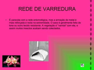 REDE DE VARREDURA É parecida com a rede entomológica, mas a armação de metal é mais reforçada e recta na extremidade. O saco é geralmente feito de lona ou outro tecido resistente. A vegetação é "varrida" com ela, e assim muitos insectos acabam sendo colectados.  