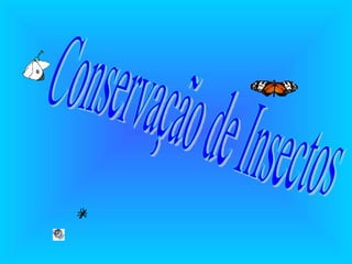 Conservação de Insectos 