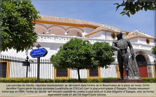 Les corridas de Séville, réputées mondialement, se déroulent dans l’arène de la Maestranza de la plaza de toros. Cette
dernière figure parmi les plus anciennes (construite en 1761) et c’est la plus prestigieuse d'Espagne. Classée monument
historique en 1984, l’arène de Séville est souvent considérée comme la plus belle et la plus élégante d'Espagne, avec sa forme
légèrement ovale et ses 116 magnifiques balcons.
 