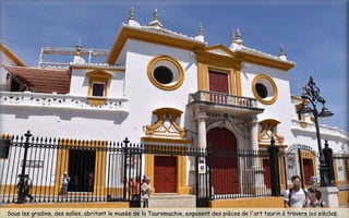 Sous les gradins, des salles, abritant le musée de la Tauromachie, exposent des pièces de l'art taurin à travers les siècles. 
 