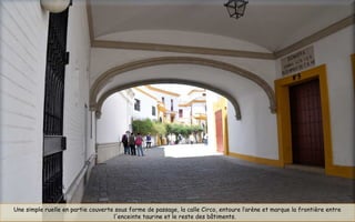 Une simple ruelle en partie couverte sous forme de passage, la calle Circo, entoure l’arène et marque la frontière entre
l'enceinte taurine et le reste des bâtiments.  
 