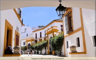 Toujours la calle Circo mais, là, à ciel ouvert.
 