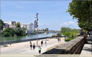 Promenade le long du Guadalquivir
 
