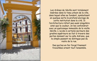 Les Arènes de Séville sont totalement
insérées dans le tissu urbain de la ville,
dans lequel elles se fondent, symbolisant
en quelque sorte le profond ancrage de
cette institution dans la cité. Si
l’architecture n’était pas aussi singulière
ainsi que la couleur, on les confondrait
avec un quelconque immeuble de la vieille
Séville. L'accès à certains secteurs des
gradins supérieurs se fait à travers des
portes donnant sur la calle Adriano, que
le simple passant ne distingue pas du
reste de la rue.
Des portes en fer forgé finement
travaillées ornent tout l’ensemble.
 