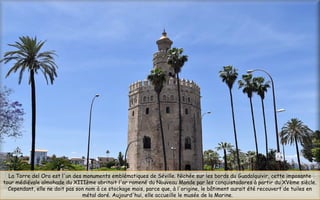 La Torre del Oro est l'un des monuments emblématiques de Séville. Nichée sur les bords du Guadalquivir, cette imposante
tour médiévale almohade du XIIIème abritait l'or ramené du Nouveau Monde par les conquistadores à partir du XVème siècle.
Cependant, elle ne doit pas son nom à ce stockage mais, parce que, à l'origine, le bâtiment aurait été recouvert de tuiles en
métal doré. Aujourd'hui, elle accueille le musée de la Marine.  
 