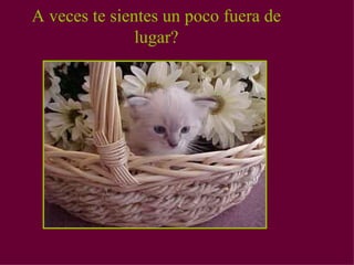 A veces te sientes un poco fuera de lugar?