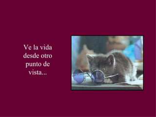 Ve la vida desde otro punto de vista...