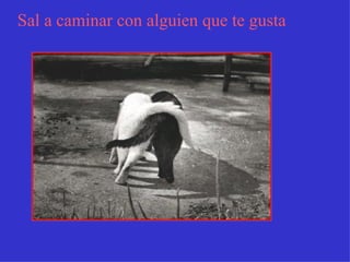 Sal a caminar con alguien que te gusta